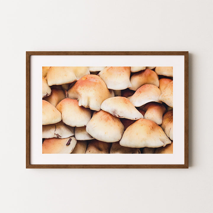 Mushroom Forest Print - Moody Nature Photography Wall Art