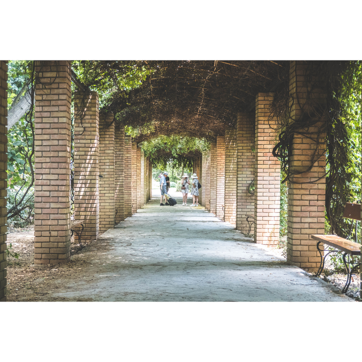 National Garden of Athens wall art, Athens wall art, Athens photography print, Greece wall art, Athens poster, National Garden Athens print, Greek garden photography, Athens fine art print, Greece photography, botanical wall art, garden wall art