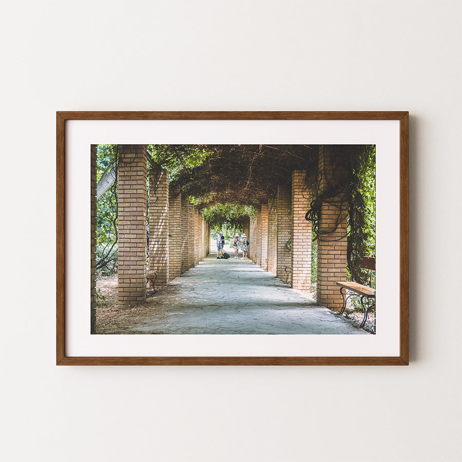 National Garden of Athens wall art, Athens wall art, Athens photography print, Greece wall art, Athens poster, National Garden Athens print, Greek garden photography, Athens fine art print, Greece photography, botanical wall art, garden wall art