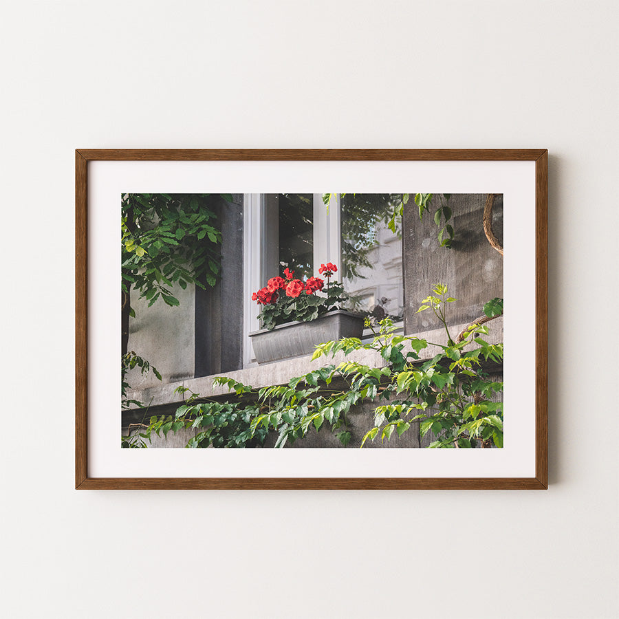 Brussels wall art, Brussels window print, Brussels flower window wall art, Brussels photography print, Belgium wall art, European city poster, floral wall art, fine art photography print, Brussels poster, green botanical wall art