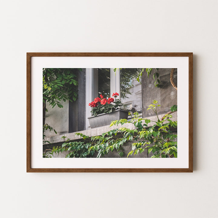 Brussels wall art, Brussels window print, Brussels flower window wall art, Brussels photography print, Belgium wall art, European city poster, floral wall art, fine art photography print, Brussels poster, green botanical wall art