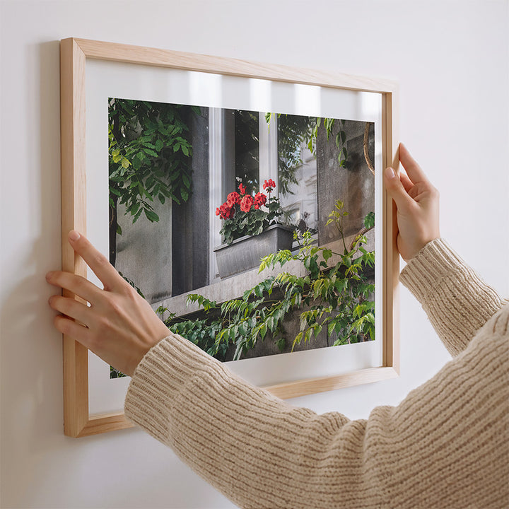 Brussels wall art, Brussels window print, Brussels flower window wall art, Brussels photography print, Belgium wall art, European city poster, floral wall art, fine art photography print, Brussels poster, green botanical wall art