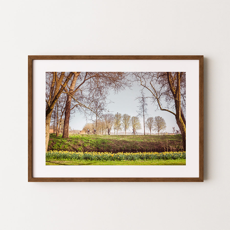 Amsterdam spring wall art, Amstelpark print, fine art photography, botanical garden poster, Amsterdam park wall art, tulip field photo print, nature photography Amsterdam, fine art print Netherlands, spring bloom poster, floral landscape wall decor