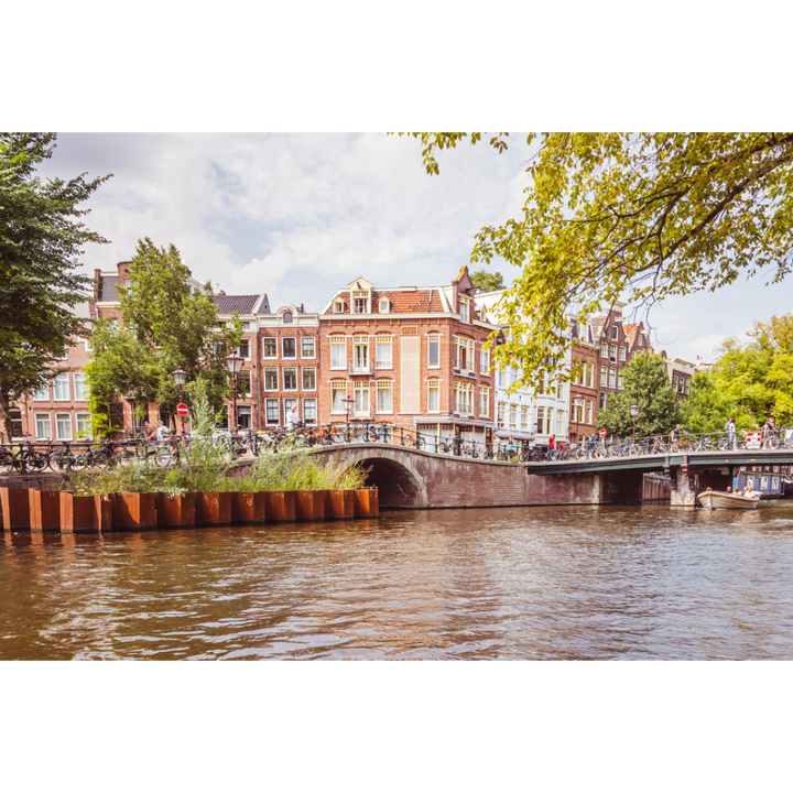 Summer in Amsterdam Canal Scene - Fine Art Wall Art