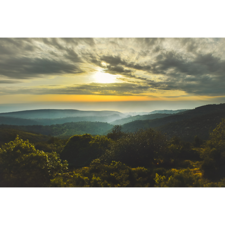 Haifa wall art, sunset photography print, Israel fine art, Haifa poster, coastal wall art, Mediterranean print, fine art photography, Haifa decor, travel photography print, Middle East wall art, Haifa cityscape, museum-quality wall print