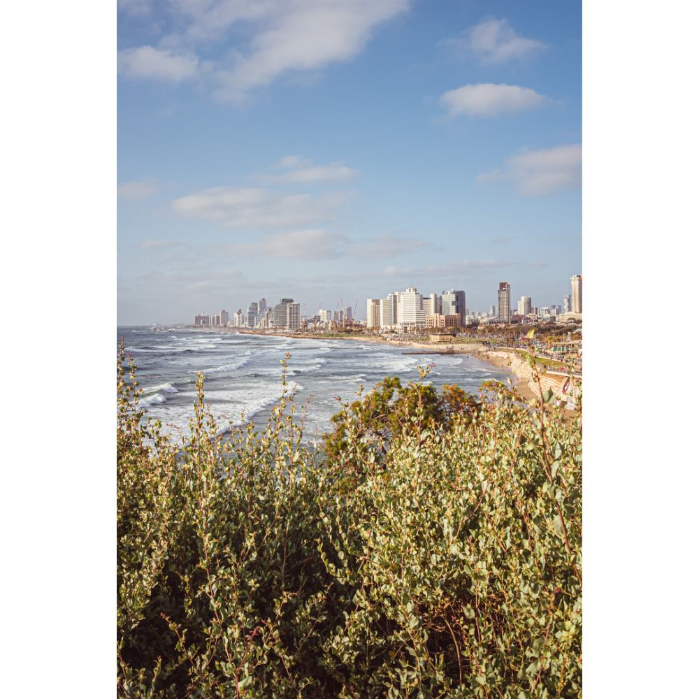 Tel Aviv wall art, Tel Aviv beach poster, Tel Aviv fine art print, Israeli beach print, coastal photography, Mediterranean wall art, urban beach print, travel photography, fine art wall decor, museum-quality print