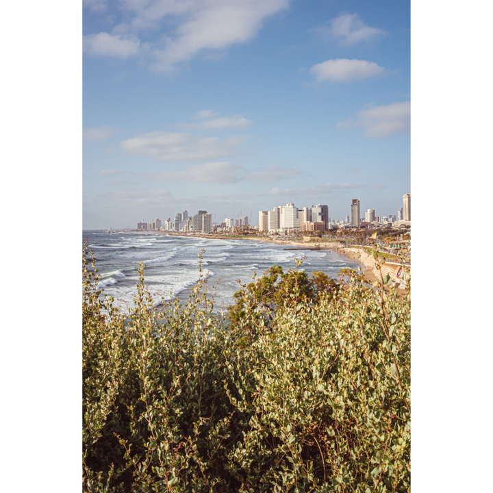 Tel Aviv wall art, Tel Aviv beach poster, Tel Aviv fine art print, Israeli beach print, coastal photography, Mediterranean wall art, urban beach print, travel photography, fine art wall decor, museum-quality print
