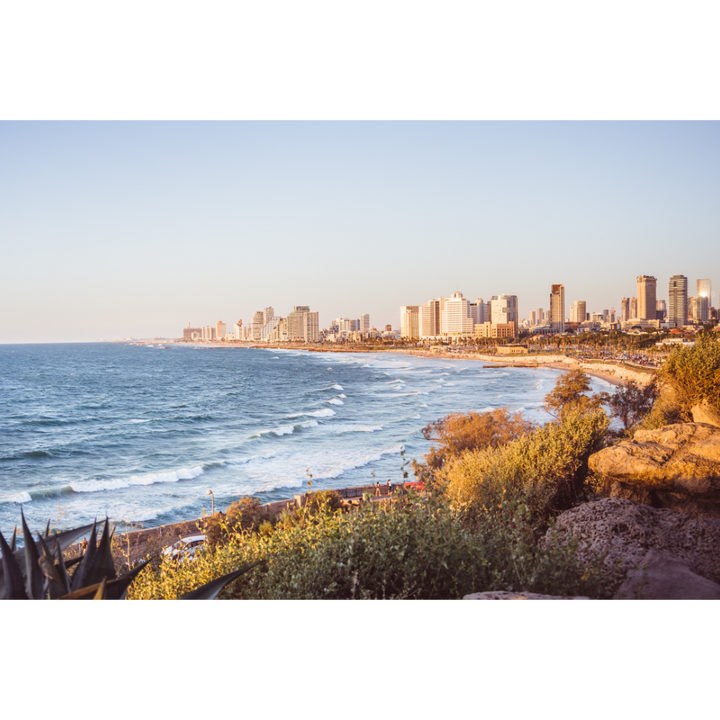 This Tel Aviv beach wall art captures the peaceful yet vibrant Mediterranean coastline where city meets sea, bathed in warm golden light. A fine art print that brings calm and inspiration into any space.
