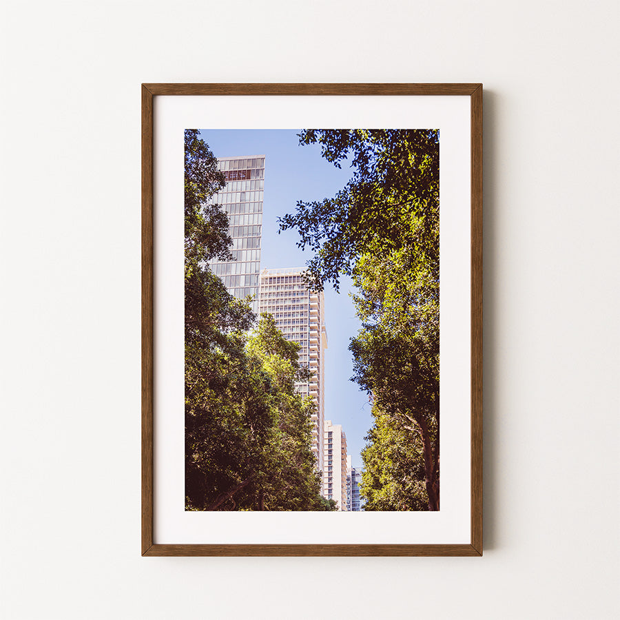 Tel Aviv wall art, Rothschild Boulevard poster, Israel cityscape print, Tel Aviv fine art, urban photography Israel, modern Israeli art print, travel wall decor, Tel Aviv architecture print, cityscape wall art, museum-quality photographic print