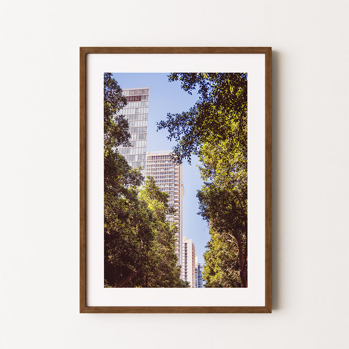 Tel Aviv wall art, Rothschild Boulevard poster, Israel cityscape print, Tel Aviv fine art, urban photography Israel, modern Israeli art print, travel wall decor, Tel Aviv architecture print, cityscape wall art, museum-quality photographic print