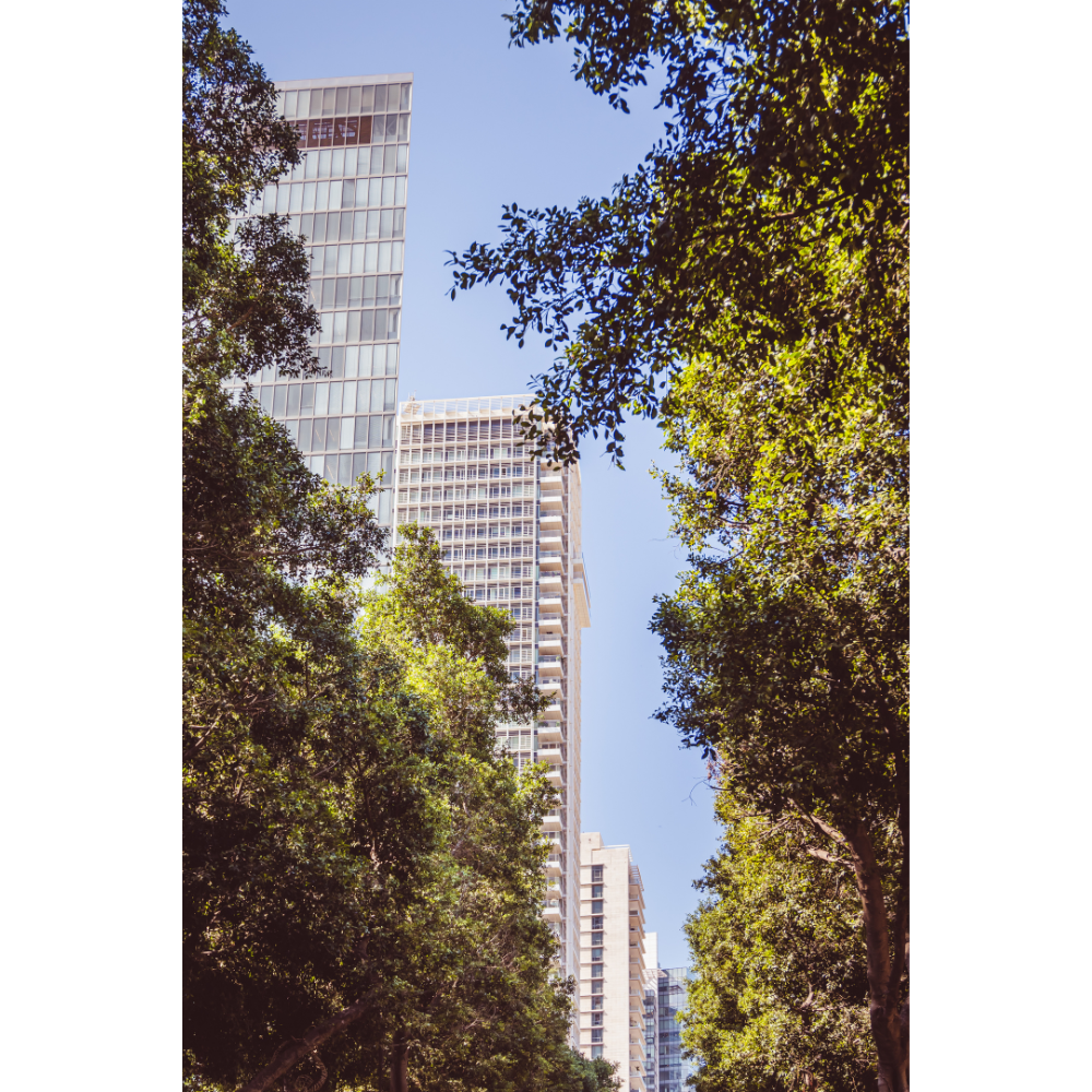 Tel Aviv wall art, Rothschild Boulevard poster, Israel cityscape print, Tel Aviv fine art, urban photography Israel, modern Israeli art print, travel wall decor, Tel Aviv architecture print, cityscape wall art, museum-quality photographic print