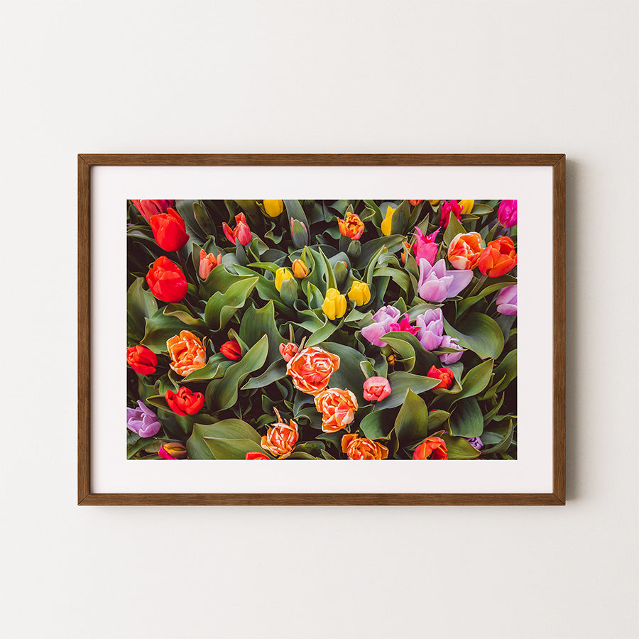Tulip wall art, Amsterdam floral print, tulips Amsterdam poster, flower market wall art, Dutch tulips photo print, Amsterdam photography print, botanical fine art print, tulips canal wall art, spring floral artwork, Amsterdam flower poster