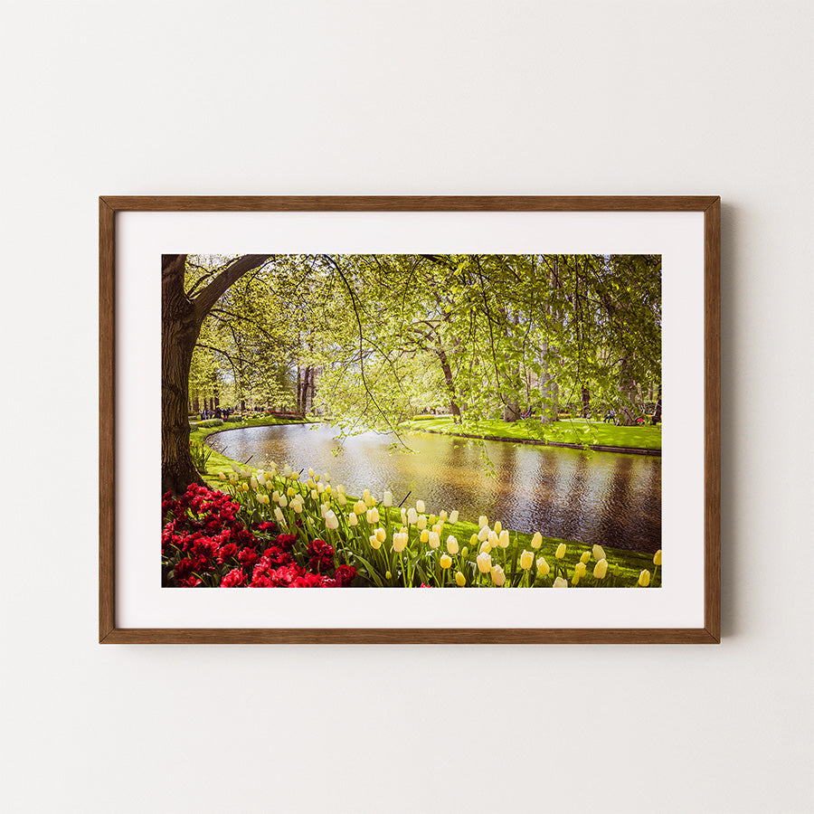 Keukenhof tulips print, tulip field wall art, Dutch flower photography, Holland poster, floral fine art print, spring bloom photo, Netherlands nature print, botanical landscape art, tulip season decor, flower field wall art