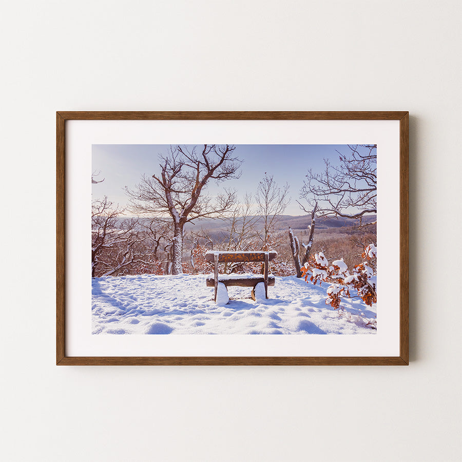 Germany wall art, Harz Mountains print, winter landscape poster, Blankenburg photo, snowy forest fine art, Germany travel photography, serene nature wall art, winter wonderland print, snowy trees artwork, fine art mountain photography