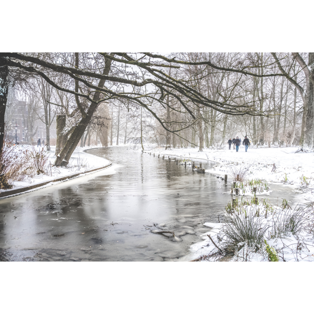 Amsterdam wall art, Oosterpark print, winter photography, fine art print, Amsterdam poster, minimalist wall art, Dutch landscape, park wall decor, serene nature photo, Netherlands travel art